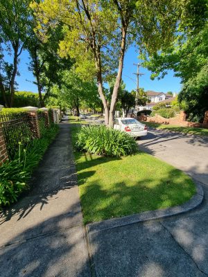 Lawn mowing service in Mont Albert