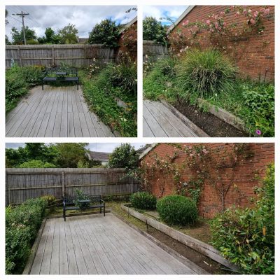 Lawn mowing company in Surrey Hills