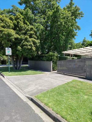 LAWN MOWING company in toorak