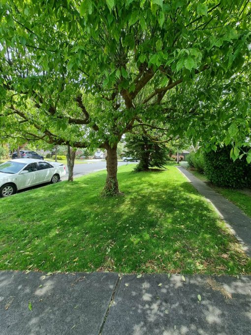 Good lawn mowing service in Doncaster, melbourne, Australia Landscape & Garden Maintenance